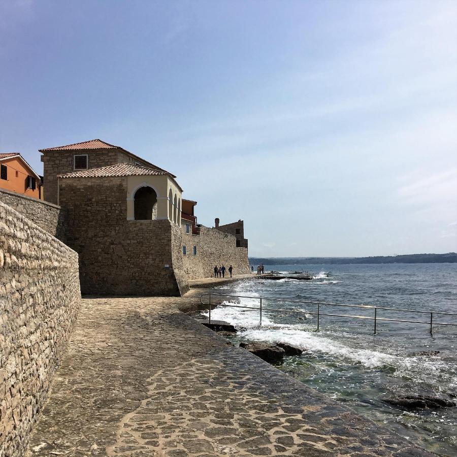 Ferienwohnung Sommer Novigrad Istria エクステリア 写真