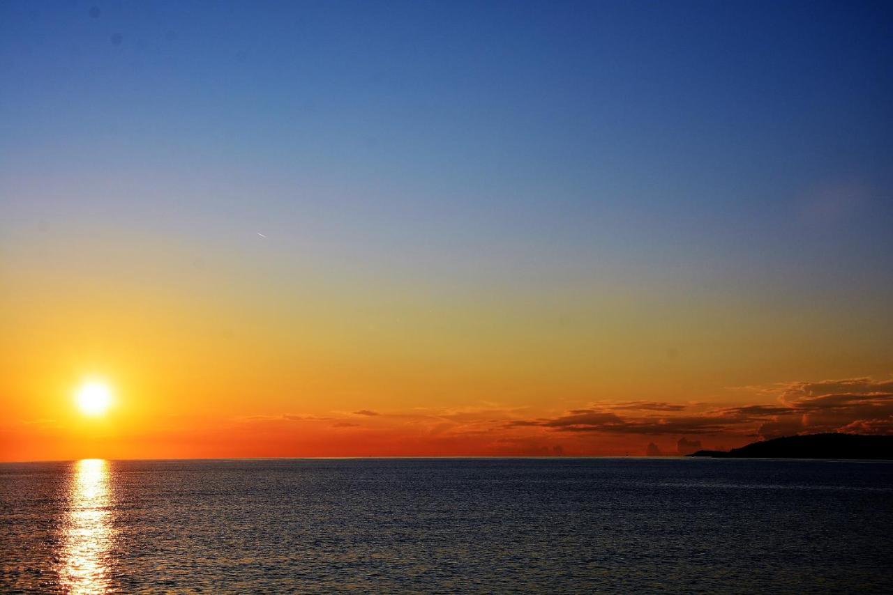 Ferienwohnung Sommer Novigrad Istria エクステリア 写真